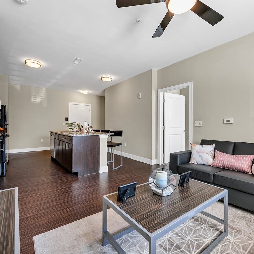 Park-Place-Waco-Model-Living-Room